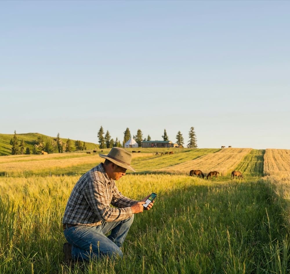 Managing field operations on the FieldPro platform
